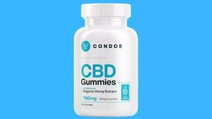 The Best CBD Gummies for Horse Calming