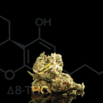 HHC: Enhancing Your Cannabis Experience