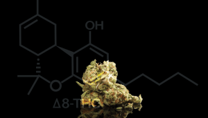 HHC: Enhancing Your Cannabis Experience