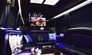 Sprinter Limo Journeys Beyond Transportation, into Luxury