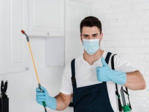 Pest Control Sydney: Tips for Effective Flea Control in Multi-Pet Environments