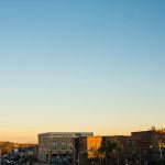 Neighborhood Chronicles The Experience of Living in North Albany