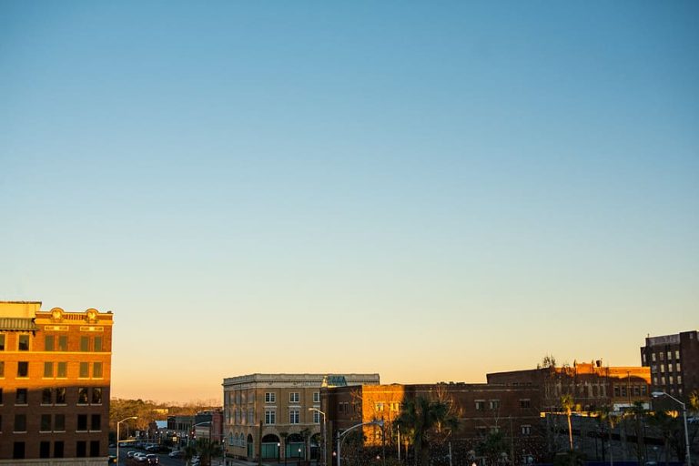 Neighborhood Chronicles The Experience of Living in North Albany