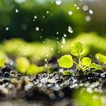 Finding a Local Irrigation Supplier