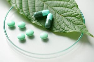 Sumatra Kratom A Unique Strain with Relaxing Properties